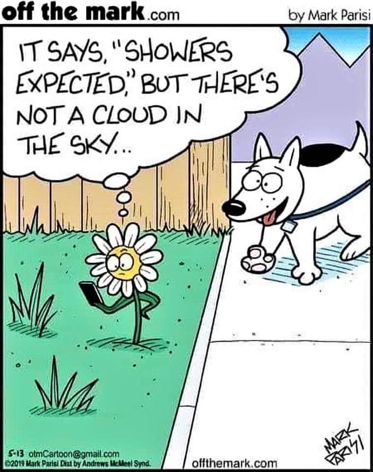flower shower dog.jpg