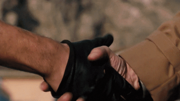 FondNiceImperialeagle-size_restricted.gif