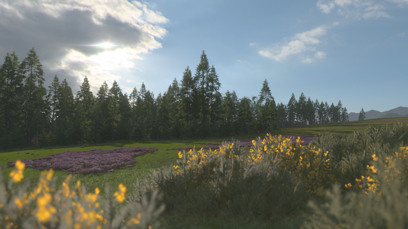 Forza Horizon 4 (41).png