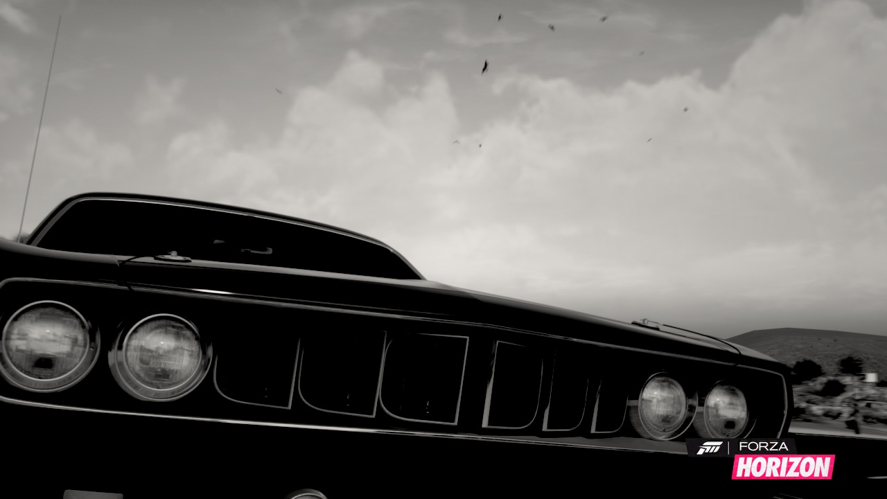 forza03.jpg