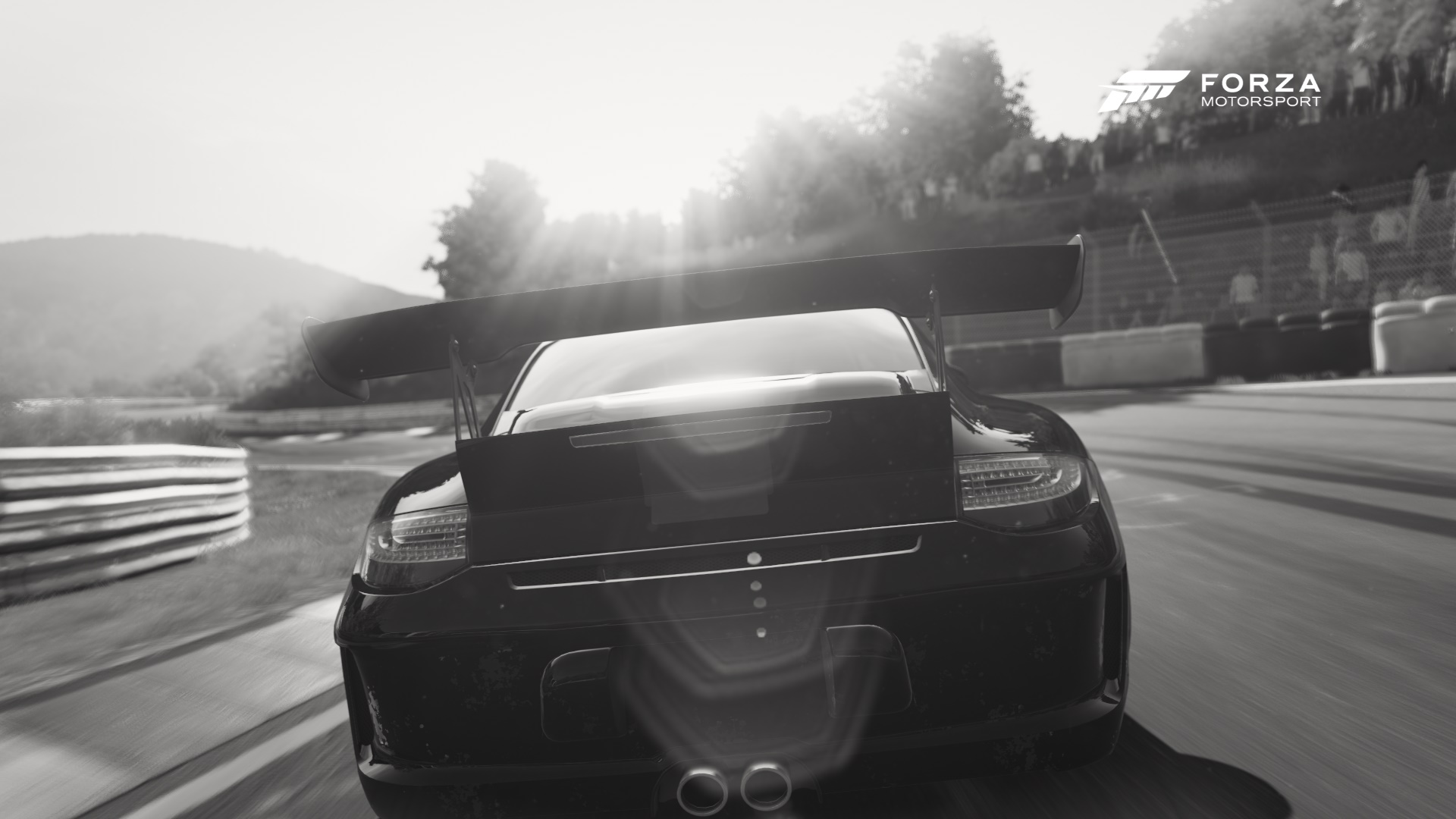 Forza1.jpg