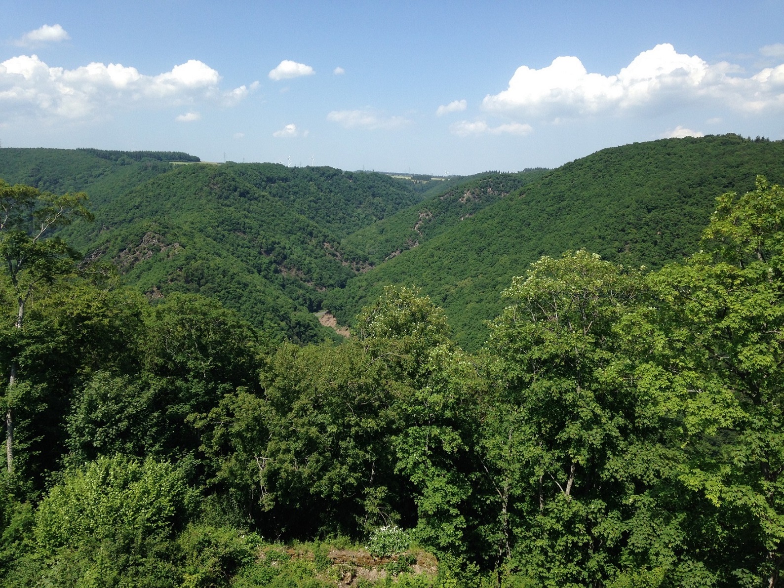 Foto 2.JPG