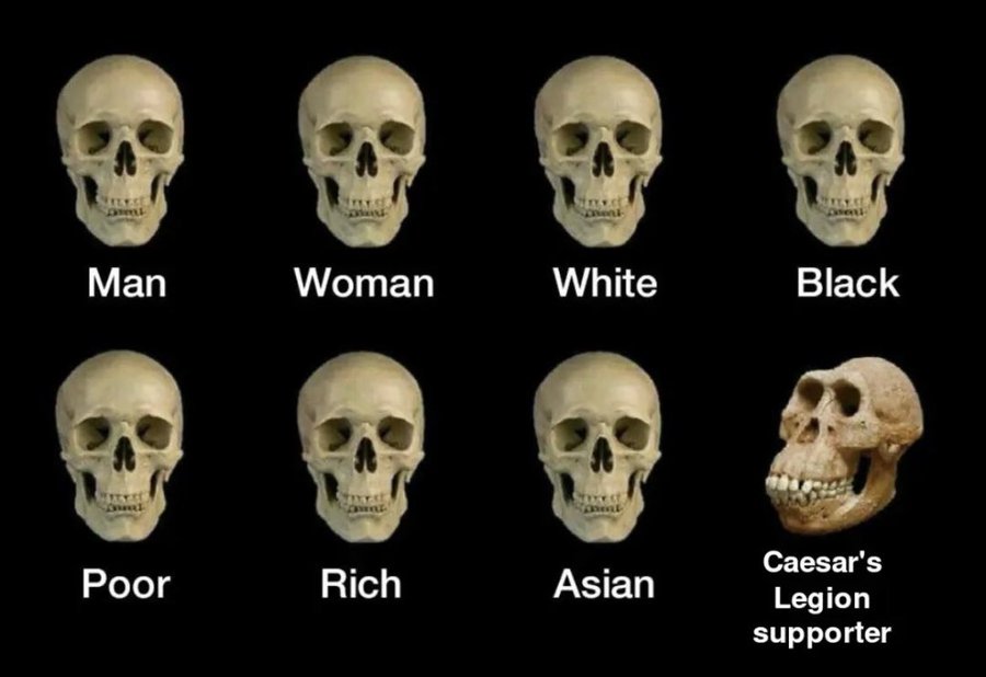 Fpfgqm7XgAIiV9P.jpg