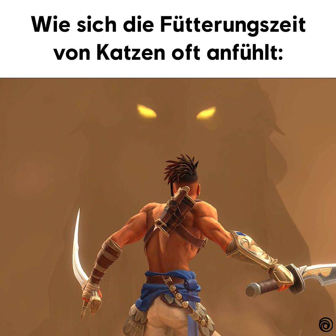 fütterungszeit katzen.jpg