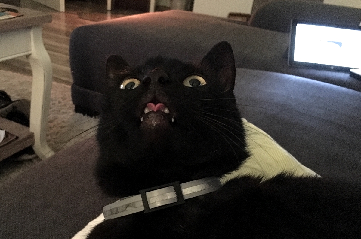 FullSizeRender.jpg