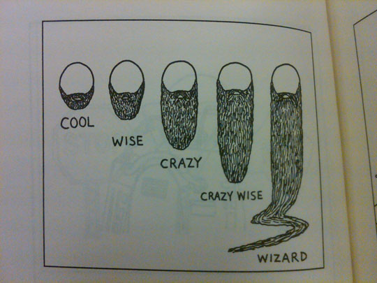 funny-bear-length-wizard.jpg