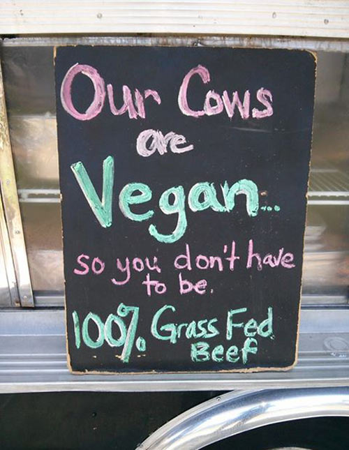 funny-chalkboard-cow-vegan1.jpg