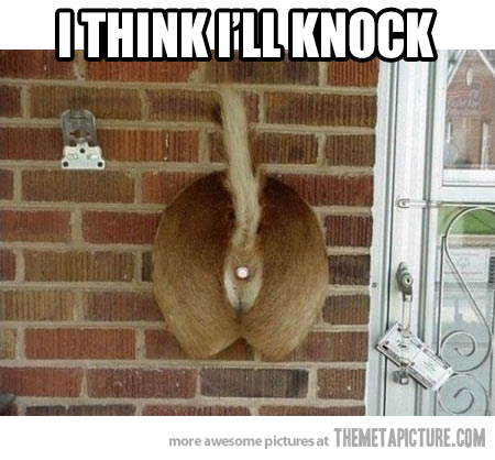 funny-door-bell-ring.jpg