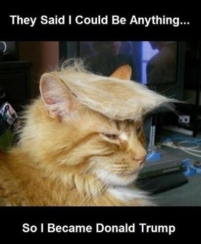 Funny-Pictures-Donald-Trump.jpg