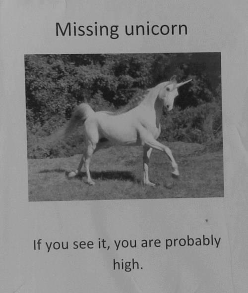 funny-pictures-missing-unicorn.jpg