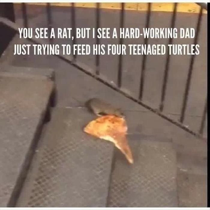 funny-rat.jpg