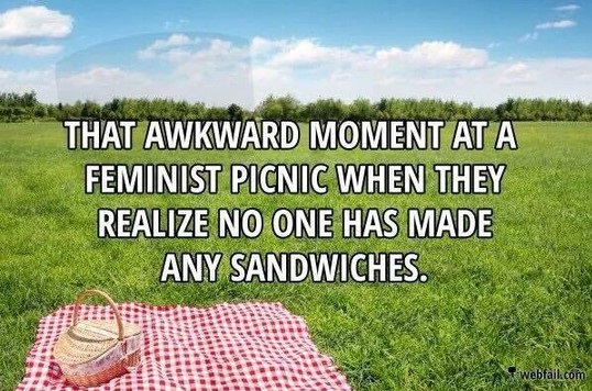 funny-sandwiches-feminist-picnic.jpg