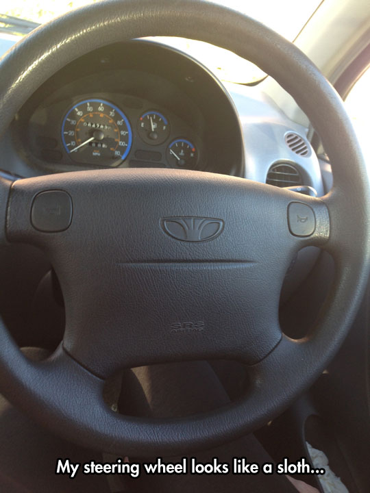 funny-steering-wheel-sloth.jpg