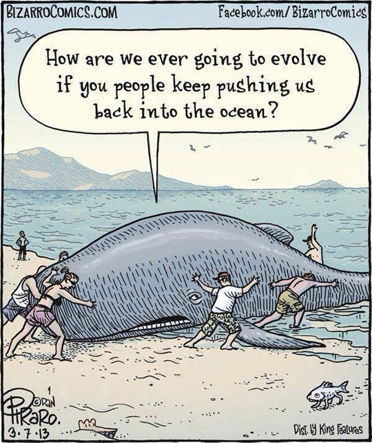 funny-whale-comic-pushing-ocean.jpg