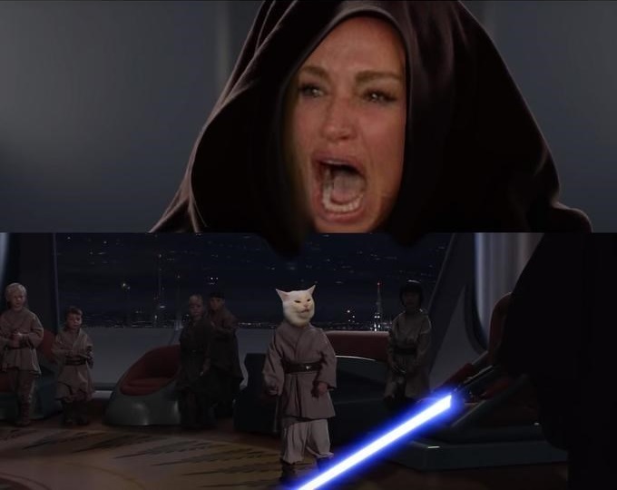 funny-woman-yelling-at-cat-meme-star-wars-younglings-cat-shits-on-the-floor.jpg