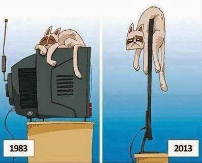 Funny_pics+Funny_cat_sleeping_on_TV+Funny_tv_pics+Old_tv_vs_new_LED_tv+difference_big_tv_slim_tv.jpg