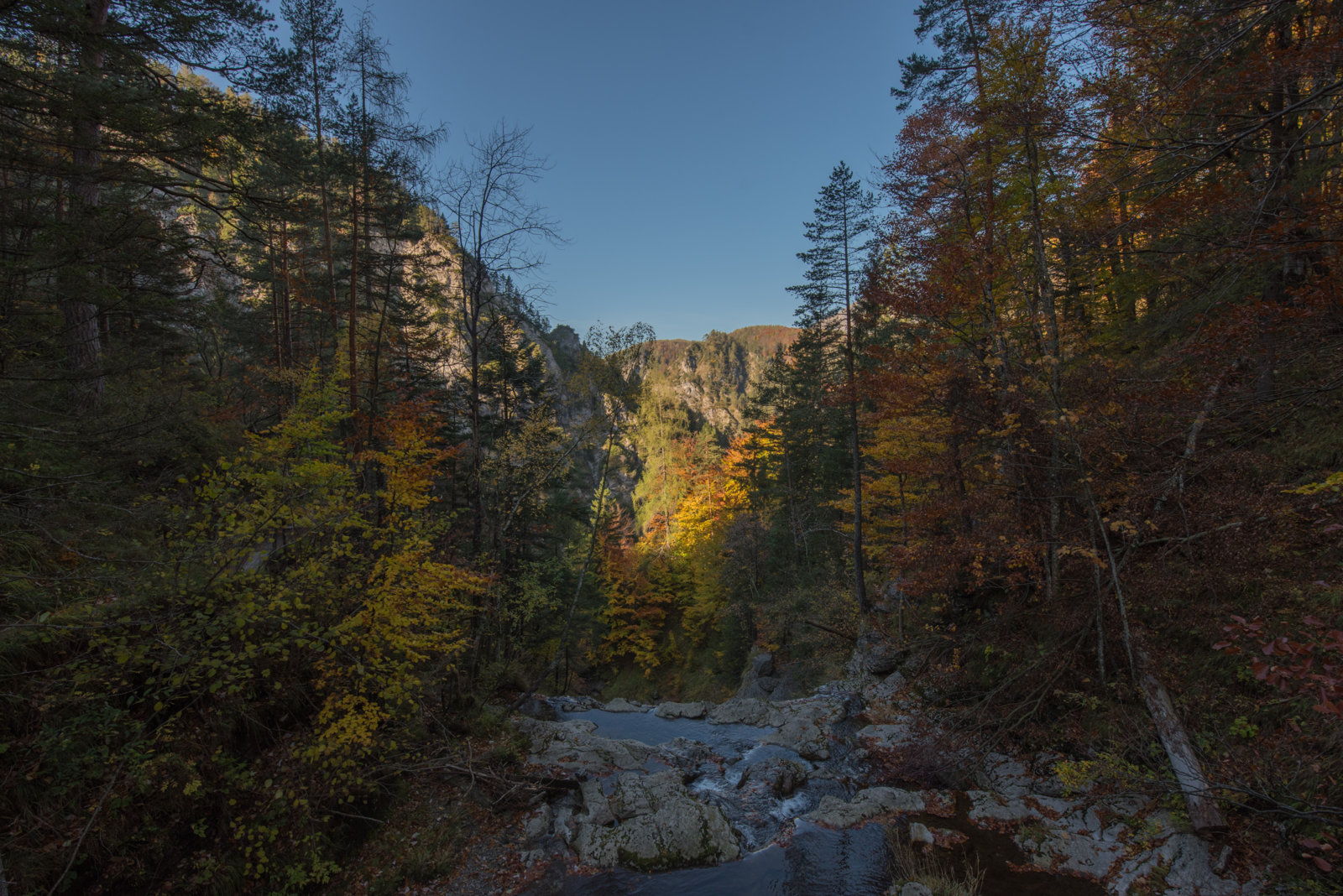 FX1_3448.JPG