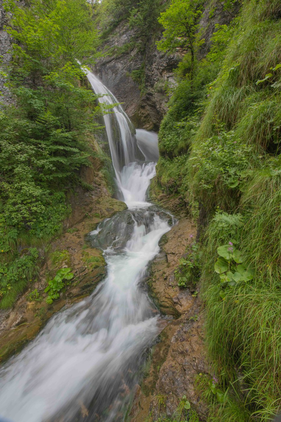 FX1_7544.jpg