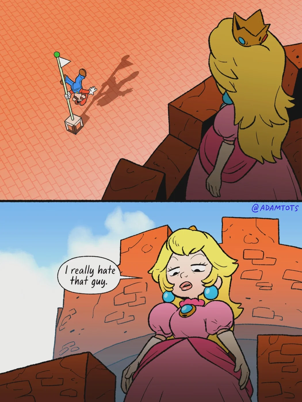 gaming - mario pole 2.webp