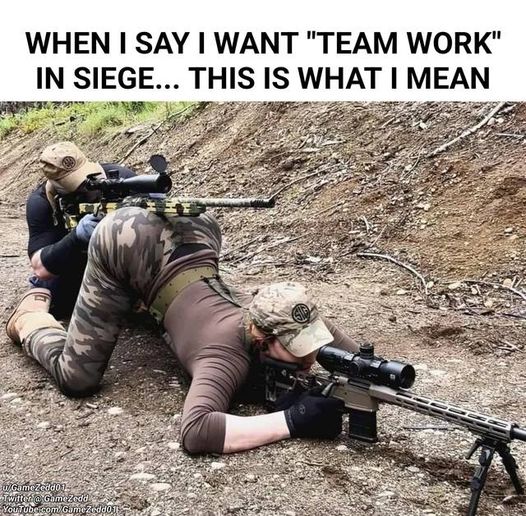 gaming -teamwork siege.jpg
