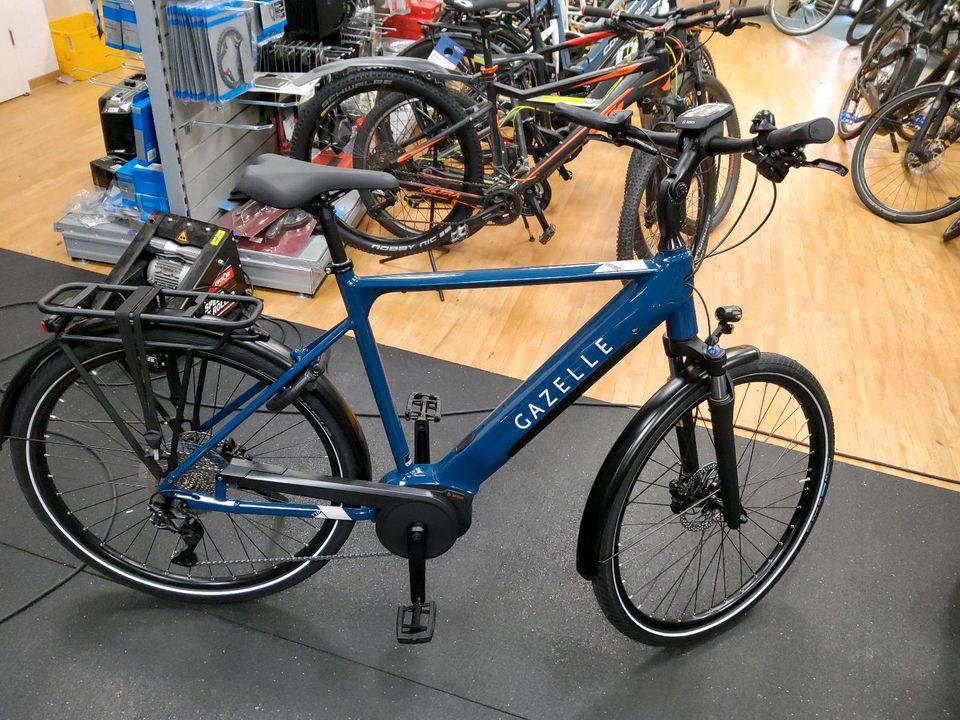 Gazelle_medeo.jpg