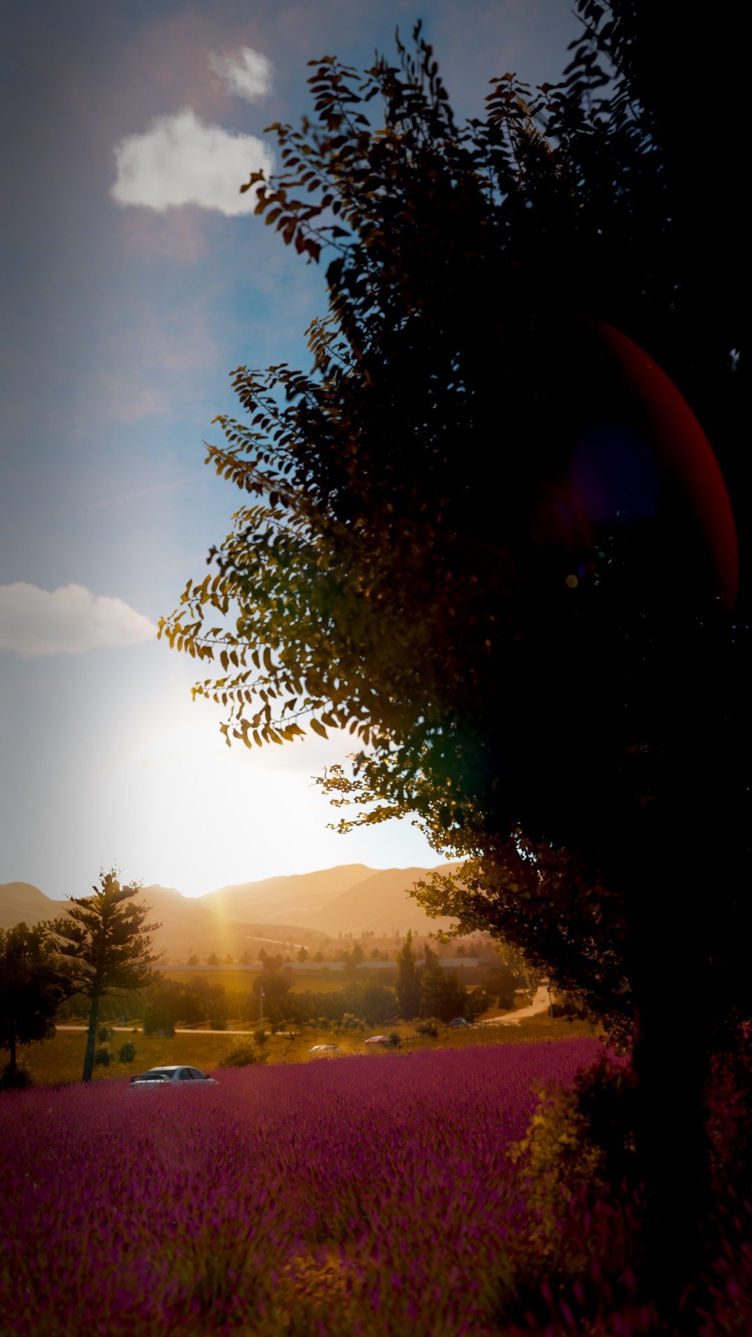 GetPhoto2.jpg
