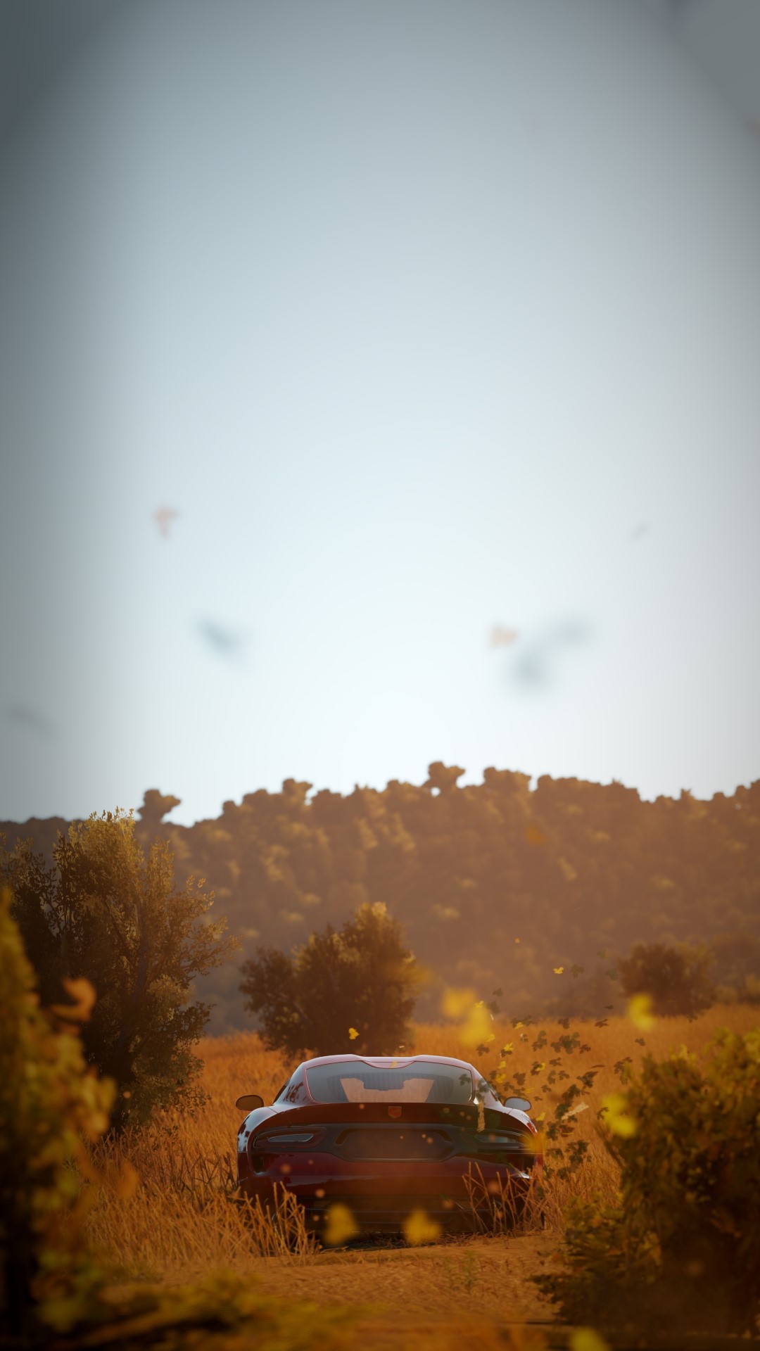 GetPhoto3.jpg