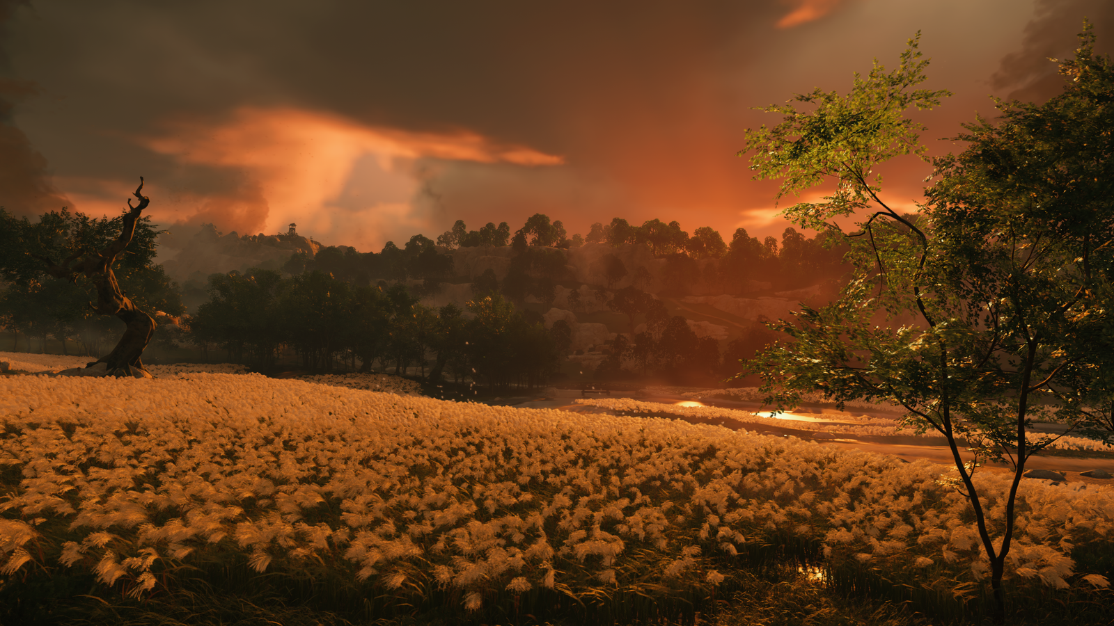 Ghost of Tsushima_20200720212805.png