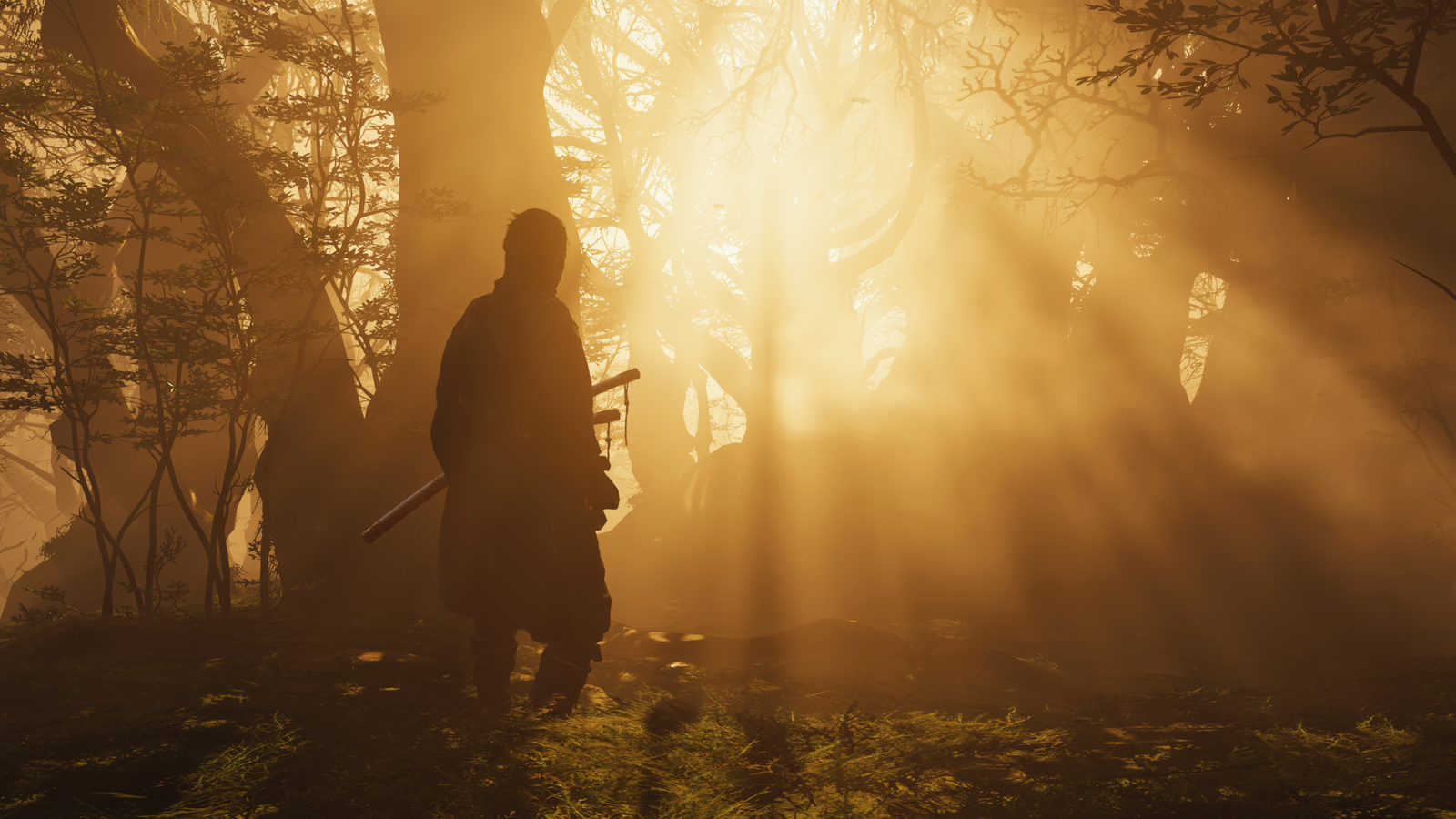 Ghost of Tsushima_20200724232443.png