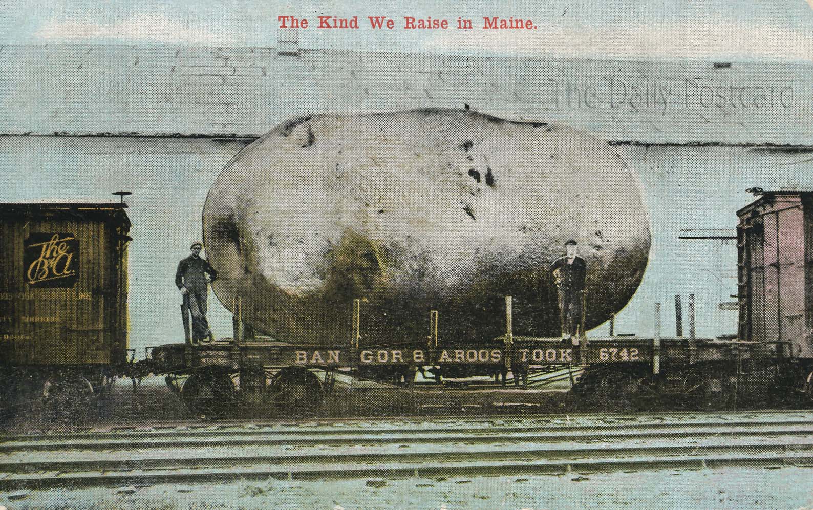 Giant_Potato.jpg