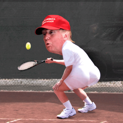giphy(10).gif