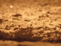 giphy (10).gif
