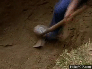 giphy (11).gif