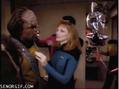 giphy (15).gif