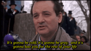 giphy (19).gif