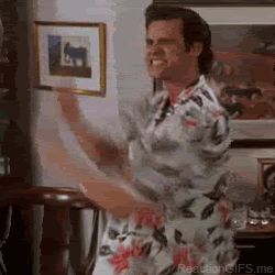 giphy (23).gif
