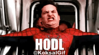 giphy(26).gif