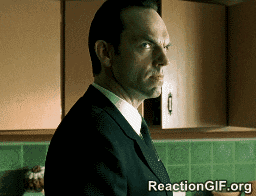 giphy (3).gif