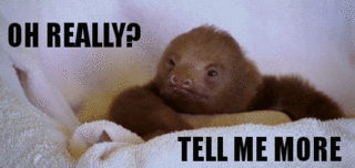 giphy-49.gif
