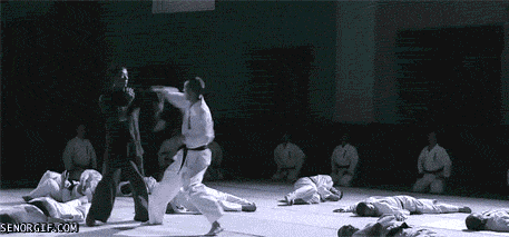 giphy (8).gif