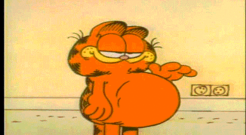 giphy(8).gif