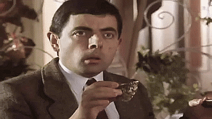 giphy2.gif
