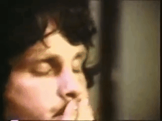 giphy506.gif