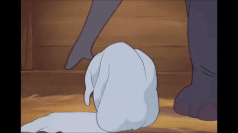 giphyfffgghhjjj345.gif