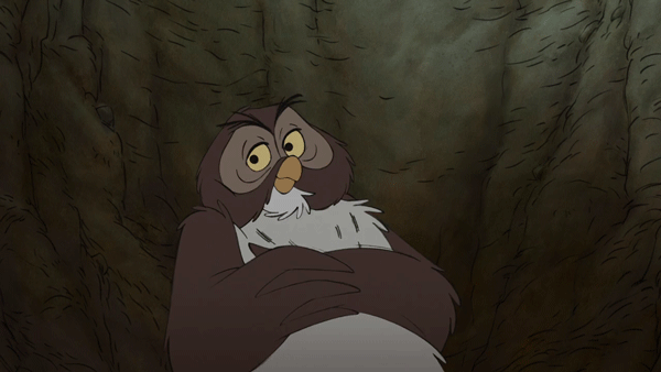 giphyowl.gif
