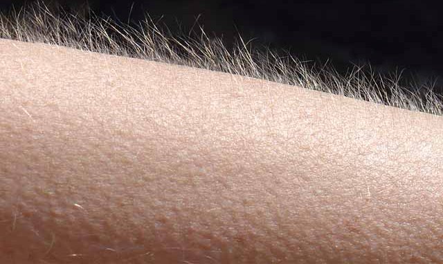 Goose-Bumps.jpg