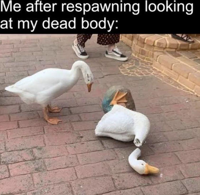 Goose respawning.jpg