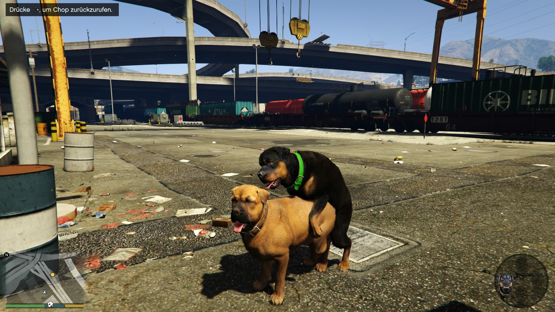 Grand Theft Auto V_20141118140457.jpg