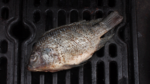 grilling.gif