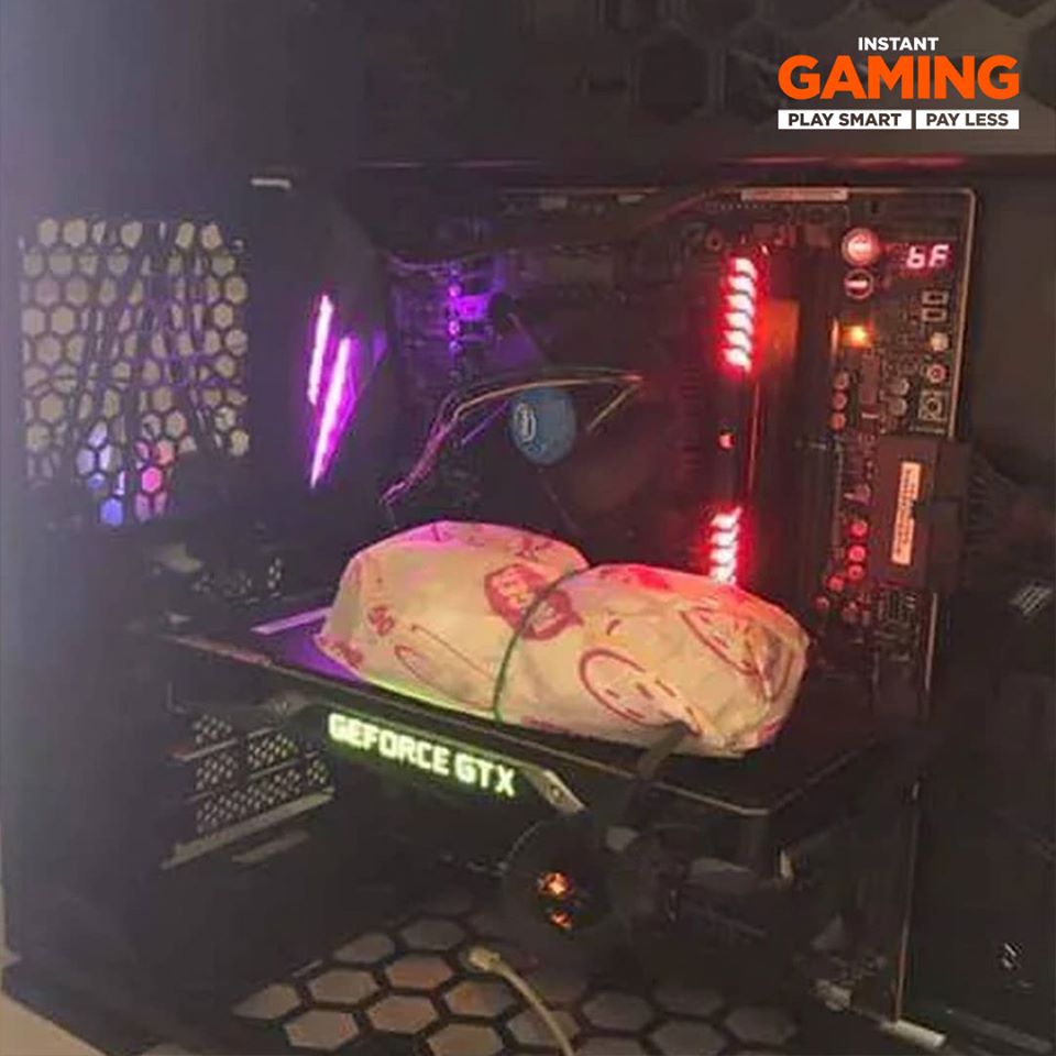 gtx fry.jpg